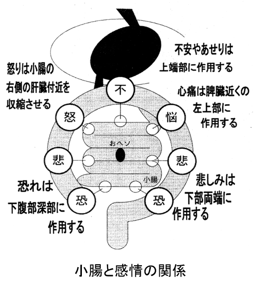 腸もみ による毒抜き健康法 デトックス 川崎 矢向 縄文天然温泉 志楽の湯